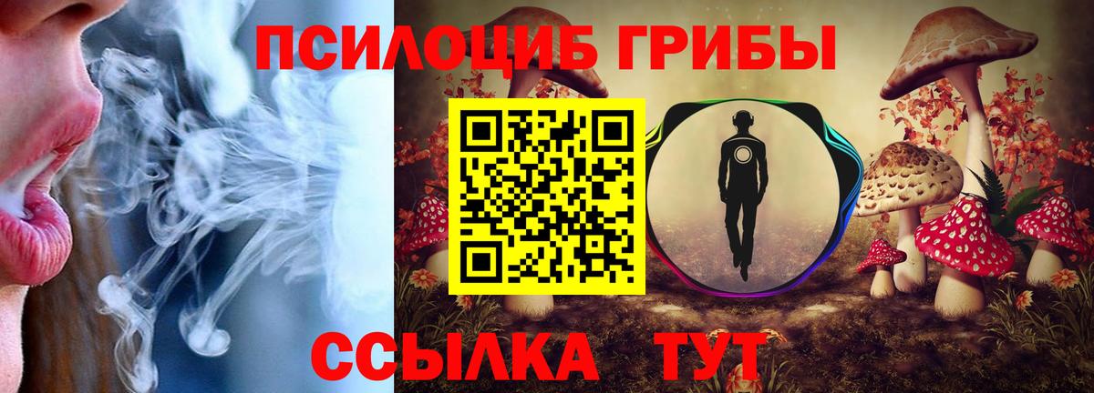 Псилоцибиновые грибы Psilocybe  Вход с VPN  Псилоцибиновые грибы Psilocybine cubensis  Малоярославец 